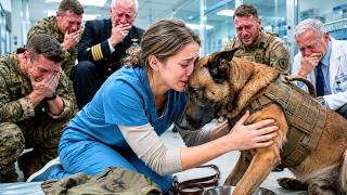The K9 Stopped Eating After Losing His SEAL — The Nurse Whispered 4 Words… and Everyone Cried