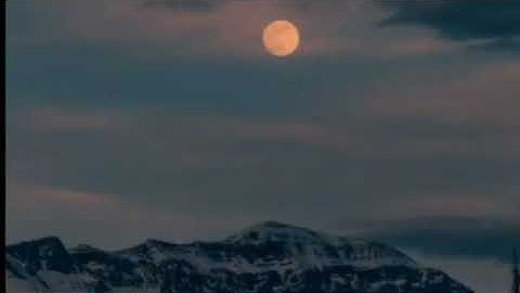 سورة الكهف/ ياسر الزيلعي