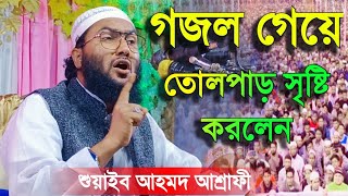 যে গজল গেয়ে তোলপাড় সৃষ্টি করলেন শুয়াইব আহমদ আশ্রাফী / Maulana Shuaib Ahmad Ashrafi Gojol