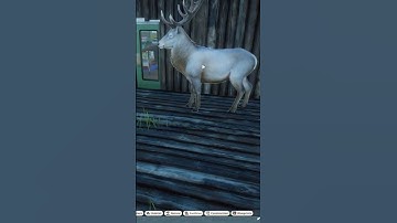 Spent way too many credits on him. No regrets! #gaming #planetzoo #planetzoofranchise