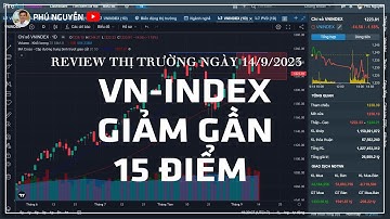 Review thị trường ngày 14/9/2023 VN-Index giảm gần 15 điểm