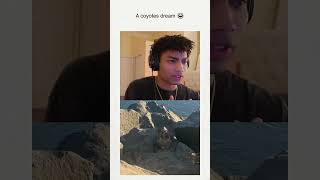 Download Lagu 😂❤️ MP3