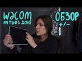 ОБЗОР на WACOM INTUOS NEW 2018!