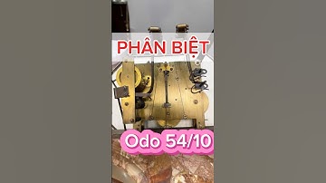 Phân Biệt Đồng Hồ Cổ Odo 54/10 – Giá Trị Sưu Tầm Cao