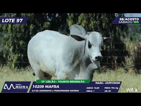 LOTE 97 MFRA 10209