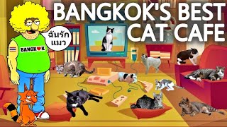 THE BANGKOK CAT VIDEO | What l Really Think Of Cat Cafes | Meet The Cats Of Lumphini Park