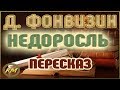 Недоросль. Денис Фонвизин