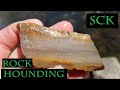 Rockhounding Southeast Pennsylvania Creek - Rare Fossilized Mushroom Cap Found? Petrified Wood Found