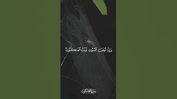 مثل الذين اتخذوا من دون الله أولياء كمثل العنكبوت اتخذت بيتا [ العنكبوت 41 -42] القارئ هيثم الجدعاني