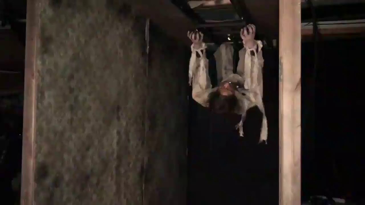Ceiling Maniac Animated Prop