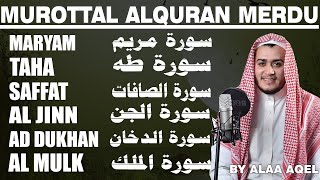 Quran Merdu | Surah Mariam/ Taha /As-saffat/Al Jinn/Ad Dukhan/Al-Mulk/ By Alaa Aqel