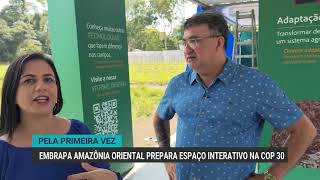 Embrapa Amazônia Oriental Prepara Estrutura Para A Primeira Cop No Brasil
