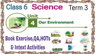 OUR ENVIRONMENT CLASS 6 SCIENCE TERM 3 UNIT 4 -BOOK EXERCISE,QA,HOTS & INTEXT ACTIVITIES - EXTRA QA