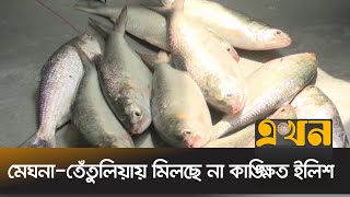 কেজিতে ইলিশের দর বেড়েছে ১৫০-২০০ টাকা | Bazar Update | Ekhon TV