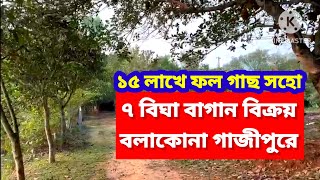 ৭ বিঘা জমি বিক্রয় কাপাসিয়া | ফল বাগান | ১৫ লাখে বিঘা | Land sale Gazipur Dhaka
