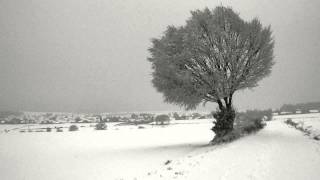 Video thumbnail of "Woods of Desolation - When the Frost Comes Falling Down"