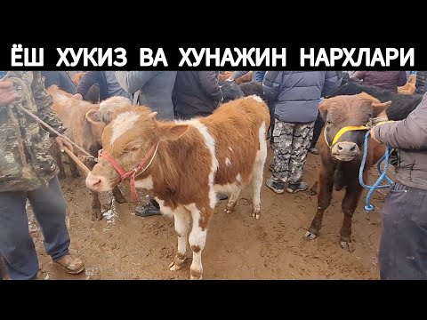 ЁШ ХУКИЗ ВА ХУНАЖИН АНИК НАРХЛАРИ ХОРАЗМ БОГОТ МОЛ БОЗОРИ 26 МАРТ 2025-ЙИЛ !!! ХОРАЗМ АБЗОР