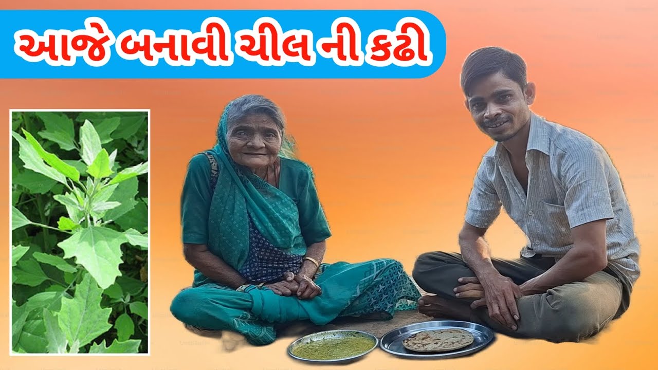 આજે બનાવી ચીલ ની કઢી | Cheel ni Kadhi | Raiji bhai vlogs 