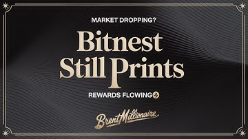 The Market Is Falling… BitNest Is STILL Printing (Here’s Why)