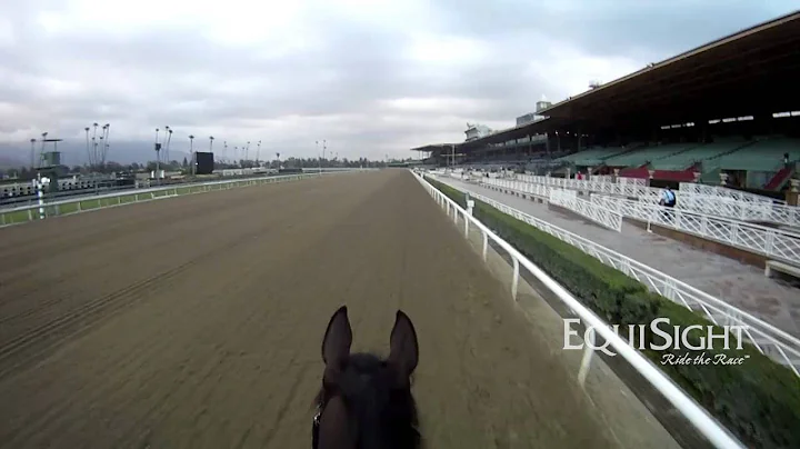 Breeders' Cup 2013 -" RIA ANTONIA" -- Jogging - Jo...