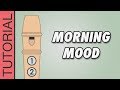 Grieg - Morning Mood - Recorder Notes Tutorial