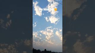 Hey beautiful!!🌼#flowers #sky #rose #food #funny #vlog #minivlog #kitkat #morningtonightvlog #196