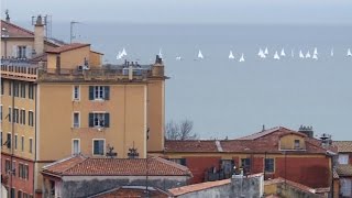 Le Vieux Nice vous ouvre ses portes