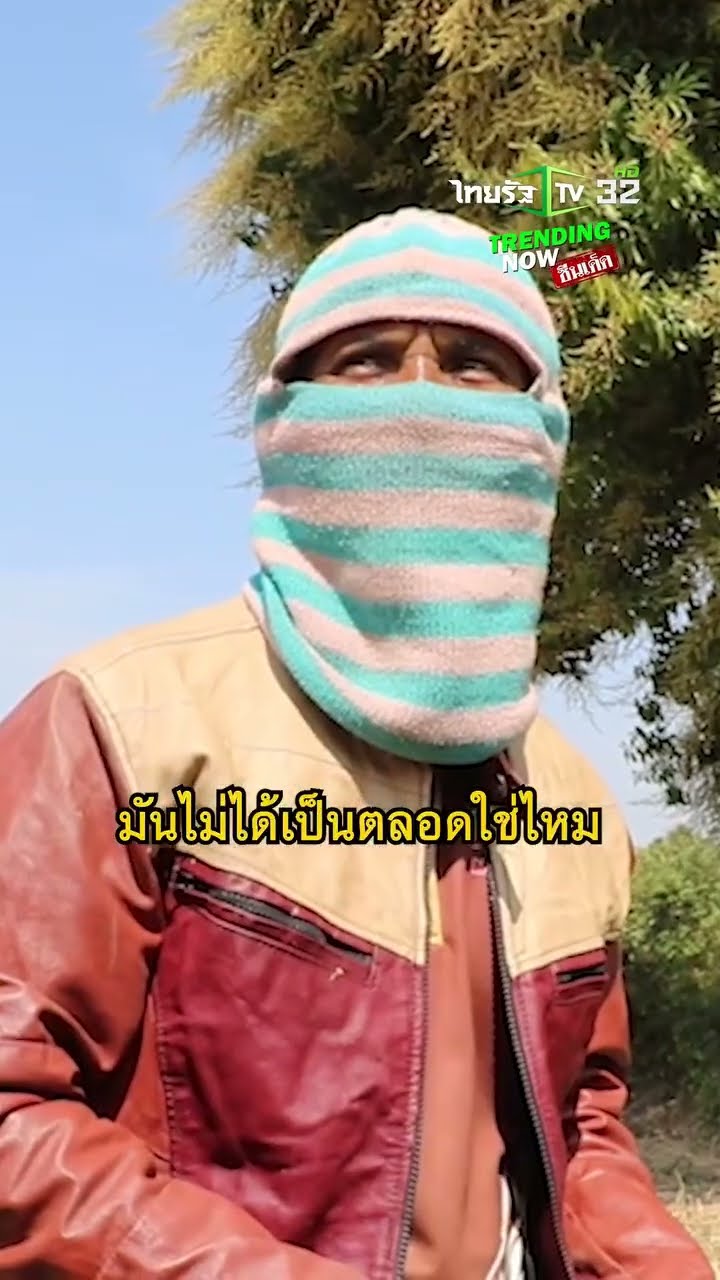 ใครผ่านก็ต้องสะดุดตา! ช่อดอกมะม่วง ต้นมะม่วงป่าอายุ 70 ปี