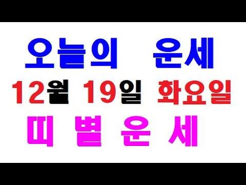 오늘의 운세 12월19일 화요일 띠별운세 [ 내일의 운세 ]