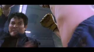 Jet Li vs MMA fighters