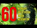 Ma syaa allah inilah 60 manfaat daun sirsak untuk kesehatan