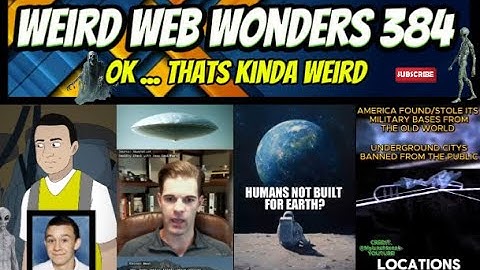 weird web wonders 384