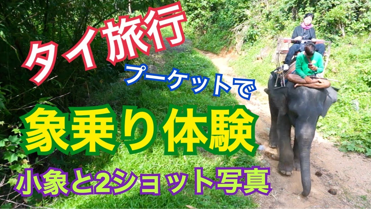 タイ旅行 プーケット 象乗り体験 エレファントビレッジ Youtube