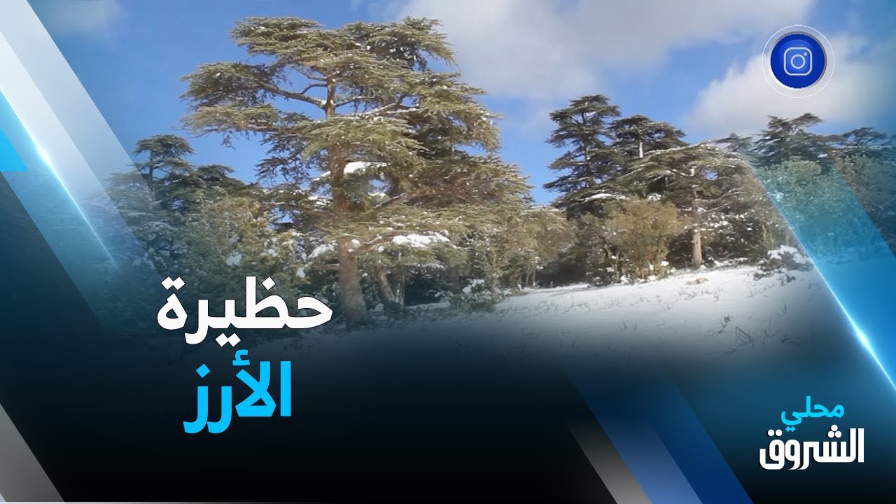 #تيسمسيلت: حظيرة الأرز .. لوحة طبيعية تفتقر لأدنى الخدمات السياحية