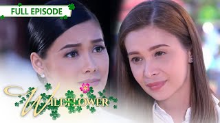 Download Lagu Full Episode 252 | Wildflower with ENG SUB | Maja Salvador, Joseph Marco, RK Bagatsing MP3 Download Lagu Full Episode 252 | Wildflower with ENG SUB | Maja Salvador, Joseph Marco, RK Bagatsing MP3