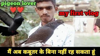 मैं अब कबूतर के बिना नहीं रह सकता हूं। #myfirstvlog #pigeonlover #pigenslovers #kabutarstatus