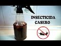 CÓMO ELIMINAR LAS HORMIGAS / INSECTICIDA CASERO - Trucos | Tips | Consejos