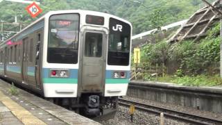 211系とE257系の素晴らしいすれ違い