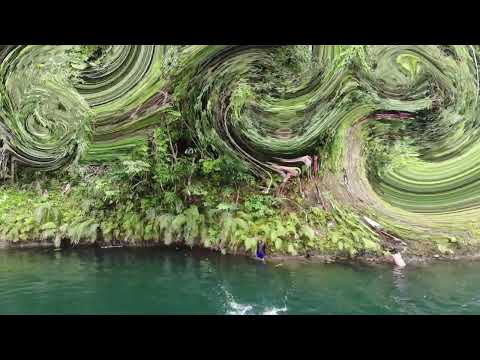 The Forest River