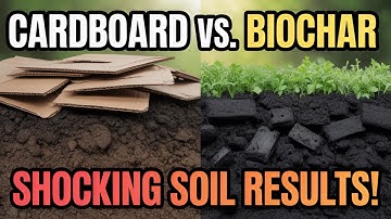 Cardboard vs Biochar: The Soil Experiment That Changed Everything!