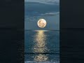 рџЋ рџ рџ Hojat Ashrafzadeh Mah O Mahi Ш Ш ШЄ Ш ШґШ ЩЃ ШІШ ШЇЩ Щ Ш Щ Щ Щ Ш Щ ЫЊ Moon And Fish Great Persian Song рџЋ рџ рџ Hojat Ashrafzadeh Mah O Mahi Ш Ш ШЄ Ш ШґШ ЩЃ ШІШ ШЇЩ Щ Ш Щ Щ Щ Ш Щ ЫЊ Moon And Fish Great Persian Song