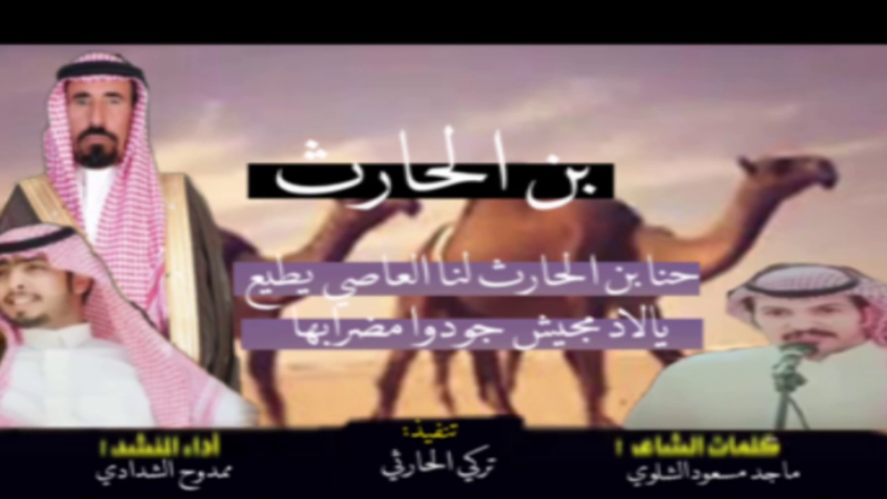 || شيلة  منقية الشيخ فواز مفيز الجياشي الحارثي~~كلمات   ماجد مسعود الشلوي~~