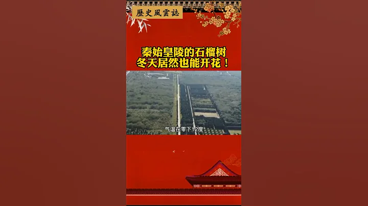 秦始皇陵的石榴树冬天居然也能开花！#历史 - 天天要闻