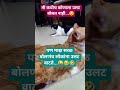 माझ सरळ बोलणंच लोकांना उलट वाटत😜 #trending #funnycat #ytshorts #viral #Prafulla'svlogs #animallovers