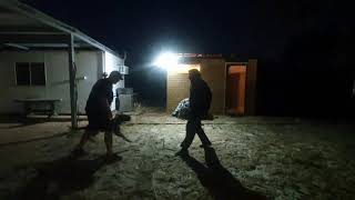 K9SA DIO - Muzzle Strike & 1st Ground Hits