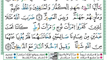 سورة التحريم القسم الثاني مكرر ياسين الجزائري برواية ورش عن نافع