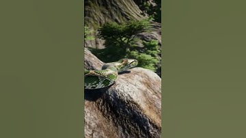 wait for end 😱 green anaconda snake #shorts #mountains #rescue