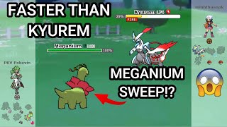 The Unforseen Meganium Comeback! (Pokemon Showdown Random Battles) (High Ladder)
