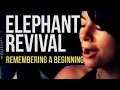 Elephant revival remembering a beginning