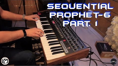Sequential Prophet 6 Part. 1 | No Talking |